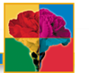 Logotipo de Sanchiflor: una flor dividida por cuatro colores.